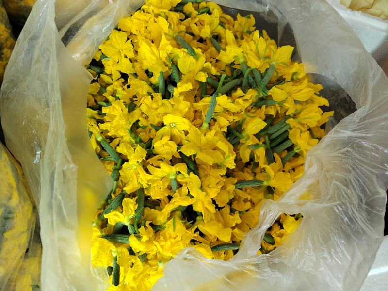 特色小黄瓜花