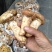 舌尖上的美味野生菌9月初就结束了。
