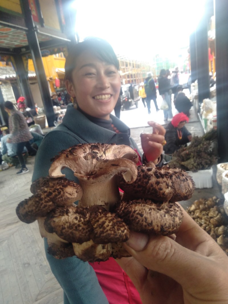 舌尖上的美味野生菌9月初就结束了。