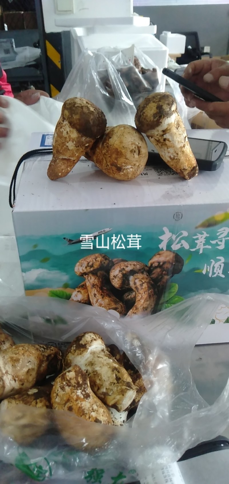 舌尖上的美味野生菌9月初就结束了。