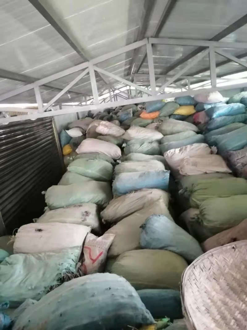 中药大红袍产地批发一首货源价格实惠诚信经营