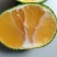 柑桔大丰桔早桔特早橘地头价精精品桔速购量大可优惠现已上市
