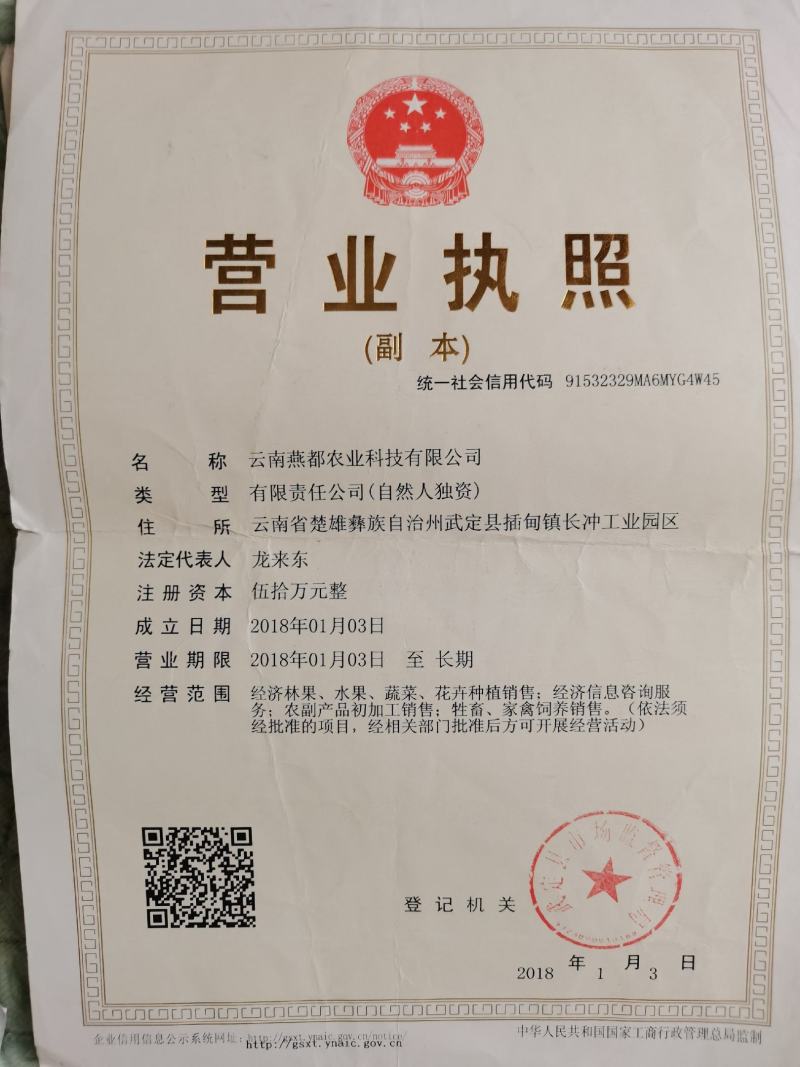 肉驴，种驴