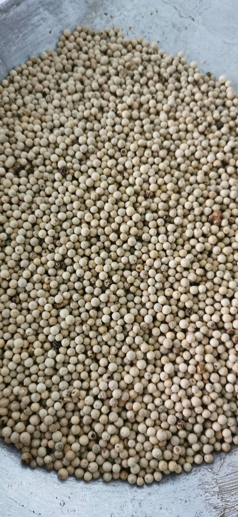 白胡椒海南白胡椒黑胡椒包邮发货产地直发