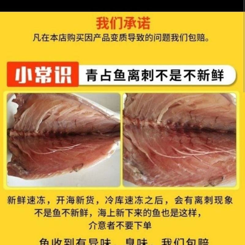 新鲜冷冻青条鱼鲐鲅鱼青占10斤饭店快餐自家吃食材大小不太