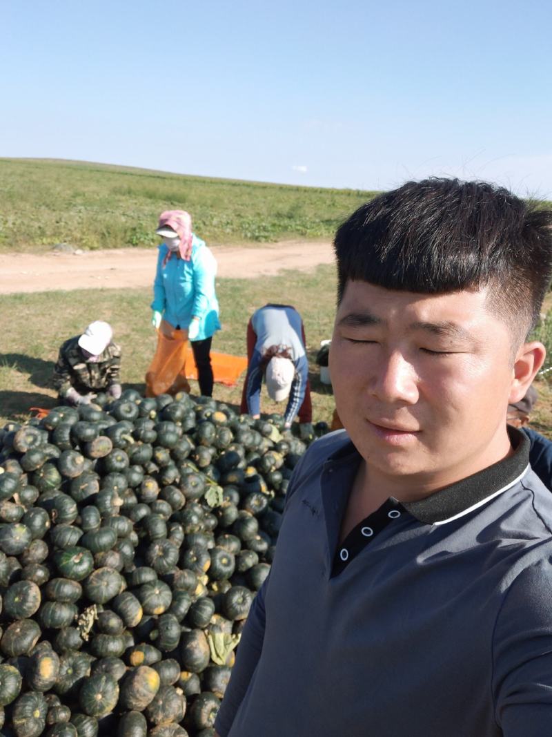 贝贝南瓜大量有货需要联系我就好，欢迎现场参观