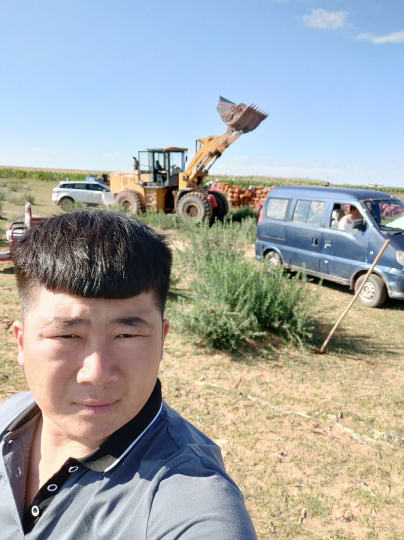 贝贝南瓜大量有货需要联系我就好，欢迎现场参观