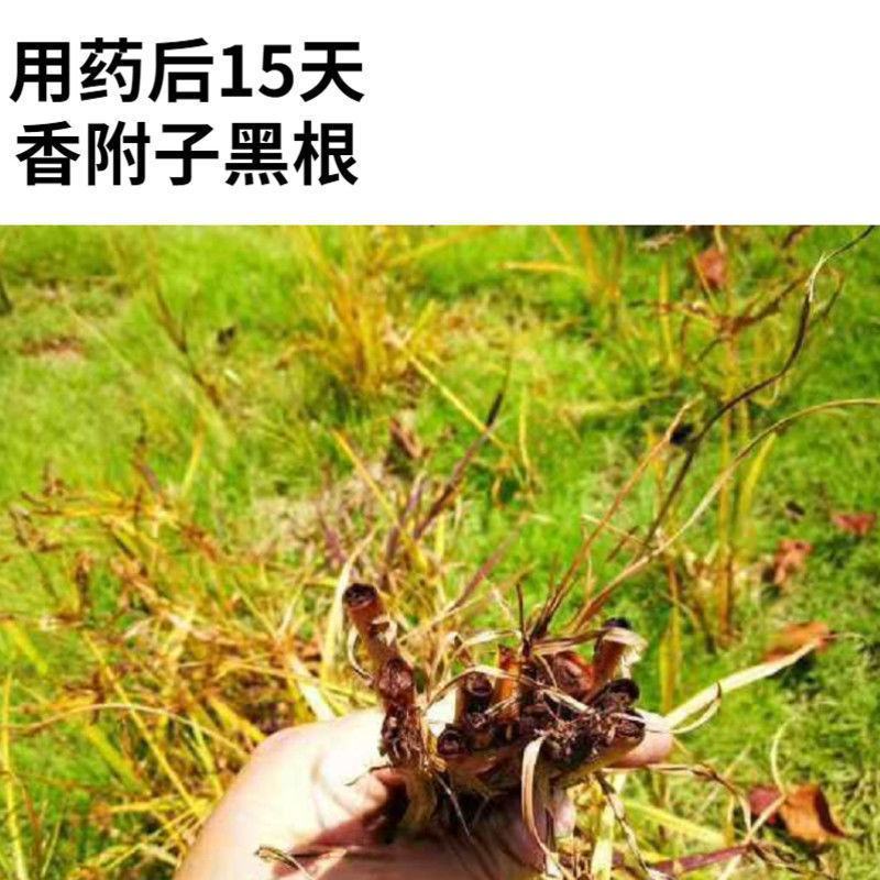 莎阔兵氯吡嘧磺隆莎草科阔叶草香附子三棱子草除草剂农药杀草