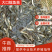 热卖《大口鲶鱼苗》产地直供包运输下塘提供技术货到付款
