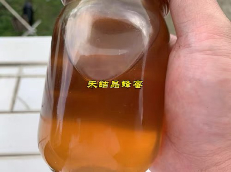 中蜂蜜正宗深山山花百花蜜蜂场直销假一赔万