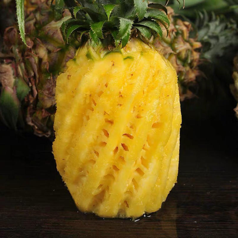 徐闻香水菠萝欢迎电商支持一件代发产地直发