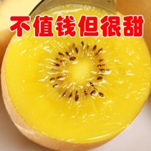 四川黄心猕猴桃奇异果新鲜现摘水果季节性泥猴桃批发弥胡桃弥
