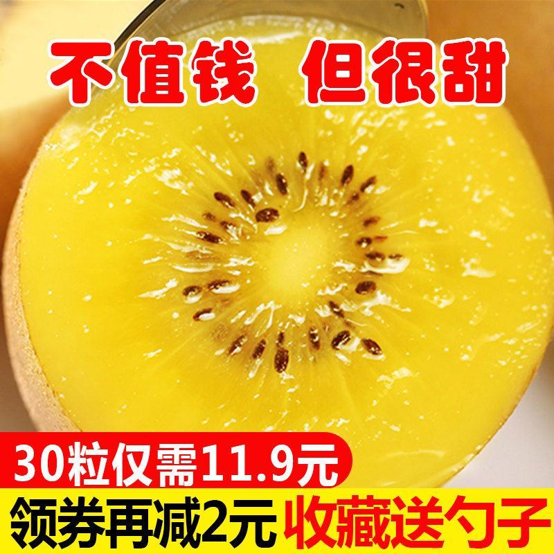 四川黄心猕猴桃奇异果新鲜现摘水果季节性泥猴桃批发弥胡桃弥