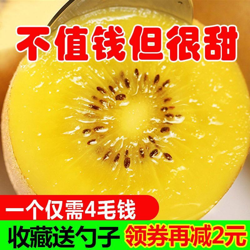 四川黄心猕猴桃奇异果新鲜现摘水果季节性泥猴桃批发弥胡桃弥