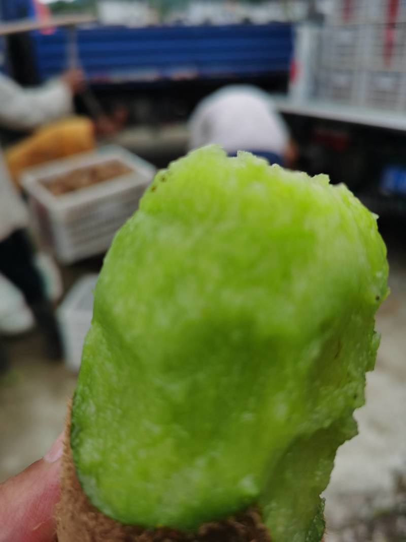 湖南省湘西永顺县绿心猕猴桃