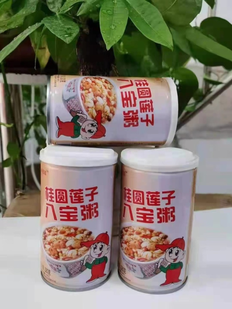 达利园桂圆莲子八宝粥礼盒装10罐装全国招商