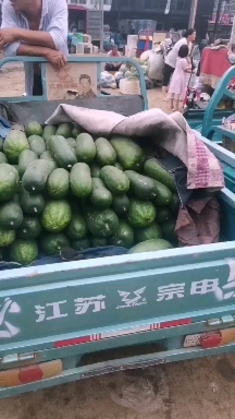 优质冬瓜，个头二斤至三斤货源充足产地直发