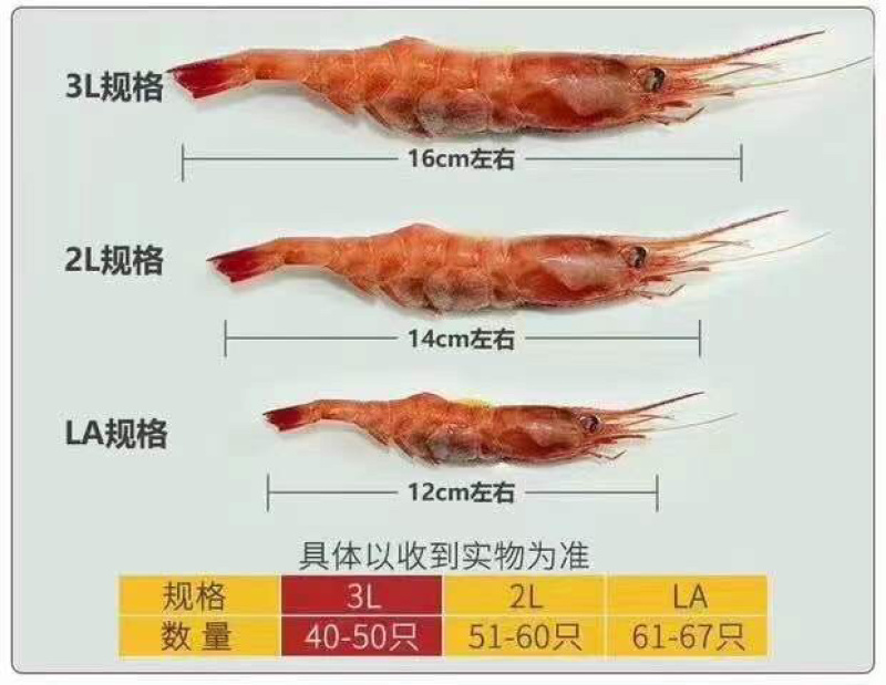 顺丰包邮超低温甜虾，各规格齐全，一件包邮，刺身级别