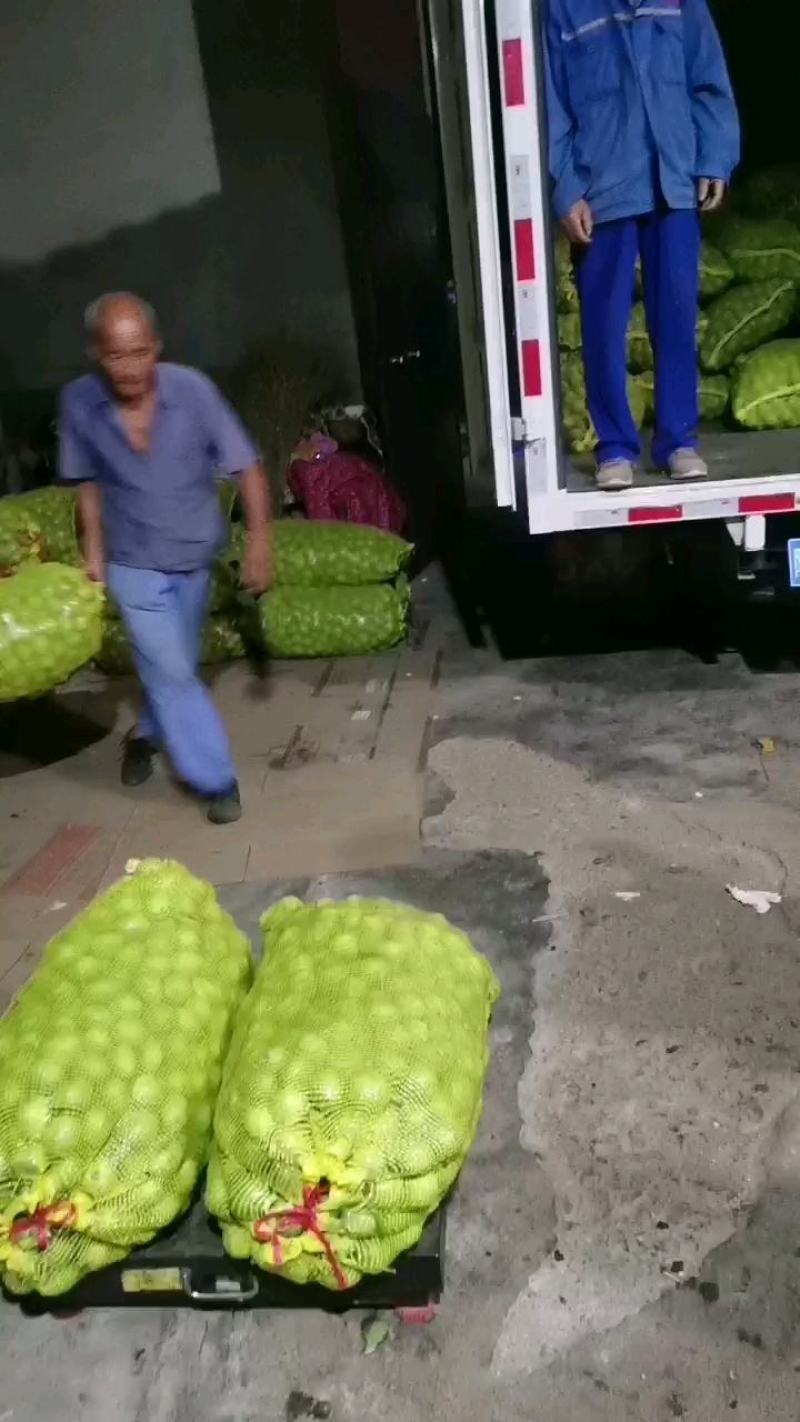 青皮核桃