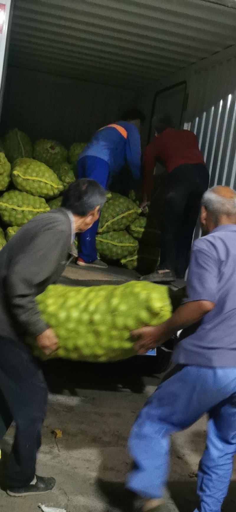 青皮核桃