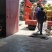 青皮核桃