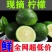 北京青海南青柠檬新鲜当季水果皮薄酸爽多汁一级奶茶店专用