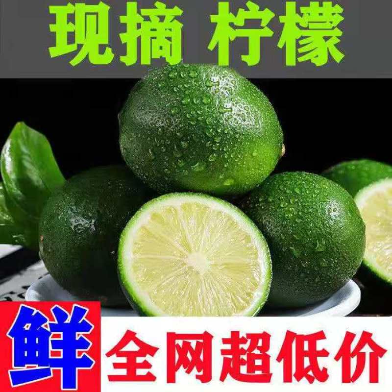 北京青海南青柠檬新鲜当季水果皮薄酸爽多汁一级奶茶店专用