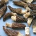 AA中号羊肚菌颜色黑足干厚肉中大号性价比高