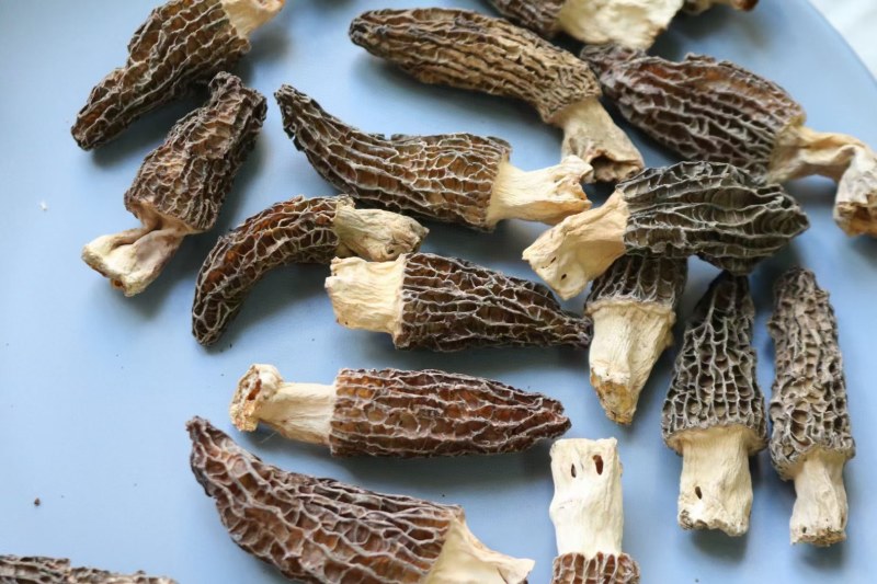 AA中号羊肚菌颜色黑足干厚肉中大号性价比高