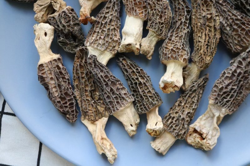 AA中号羊肚菌颜色黑足干厚肉中大号性价比高