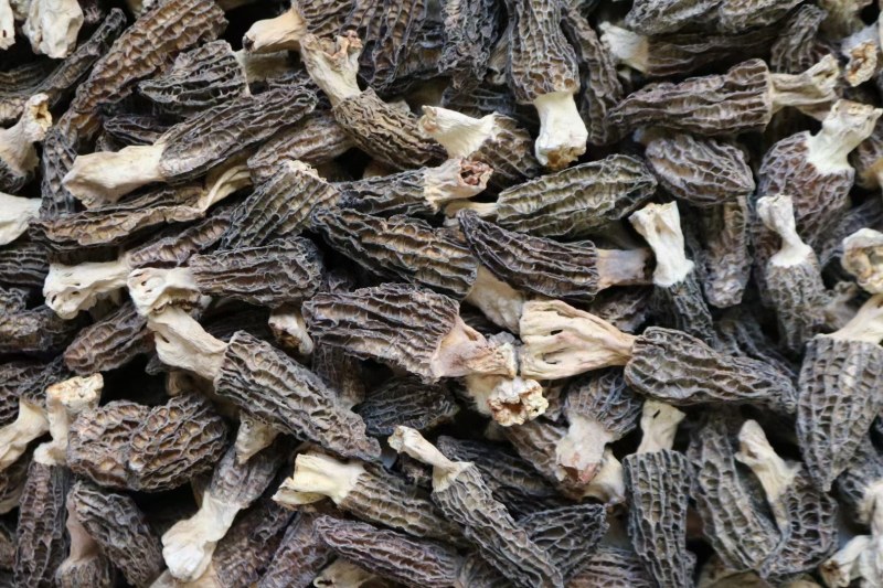 AA中号羊肚菌颜色黑足干厚肉中大号性价比高