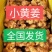 生姜【小黄姜】产地批发一手货源，品质优良，支持全国发货