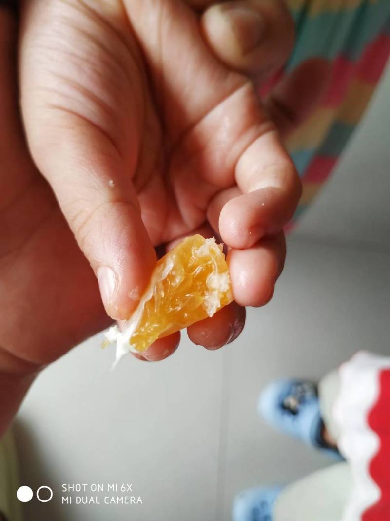 特早蜜橘橘子桔子