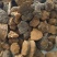 包邮缅甸桑黄纯野生桑黄新货一公斤1000克起批发