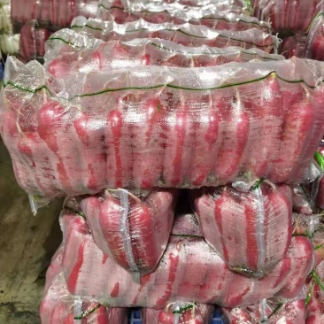 高山红皮萝卜，高海拔环境生长，脆嫩鲜红，基地直供，量大从