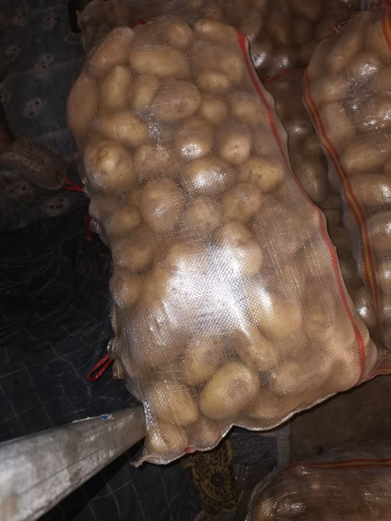2—4两中货土豆热销中