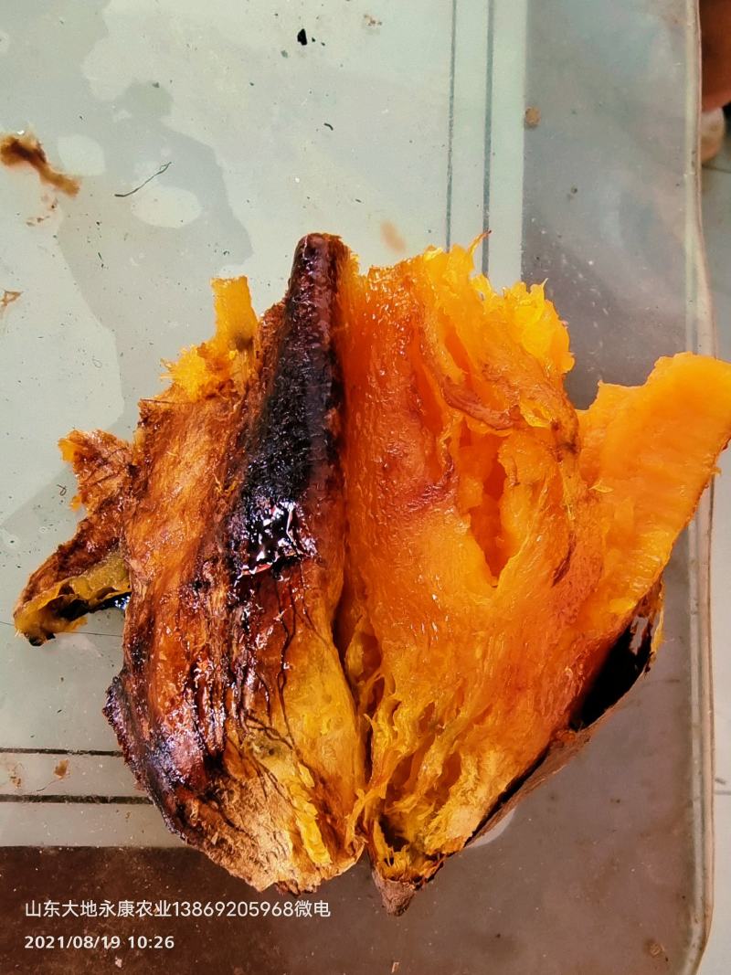 唐山烟薯25软甜流油！烤地瓜专用！微商电商团购