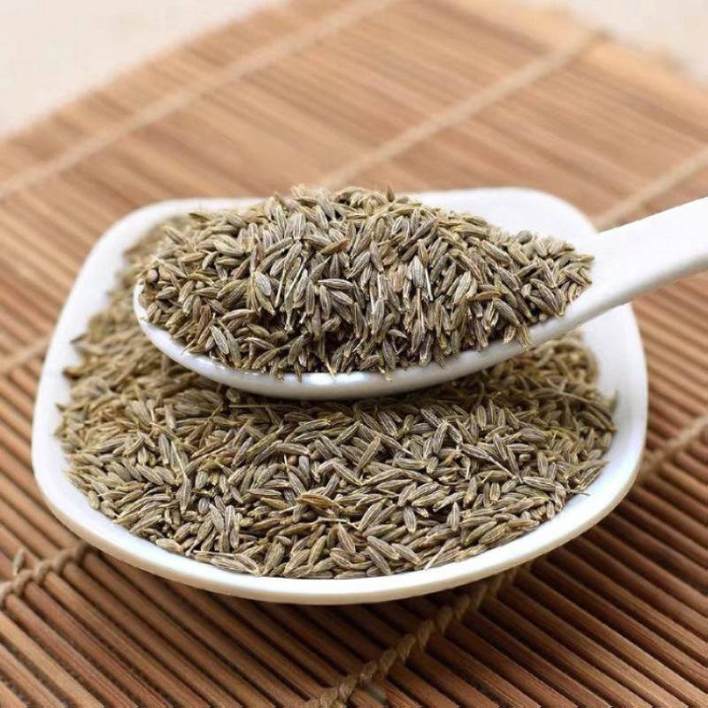 河西走廊精品孜然低价出售