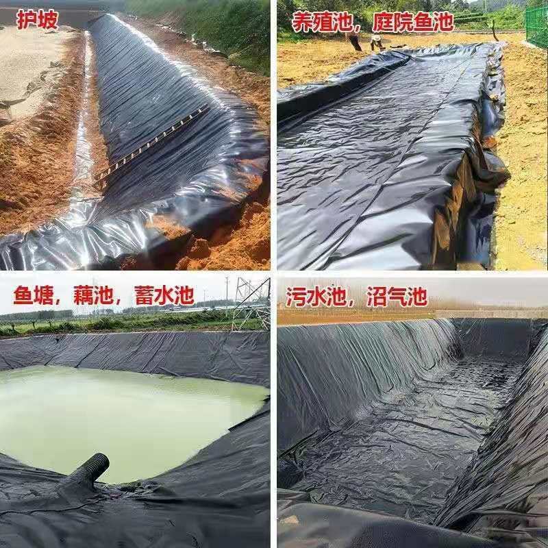 鱼塘防渗膜加厚全新料土工膜鱼塘专用膜鱼池防水布蓄水池藕池