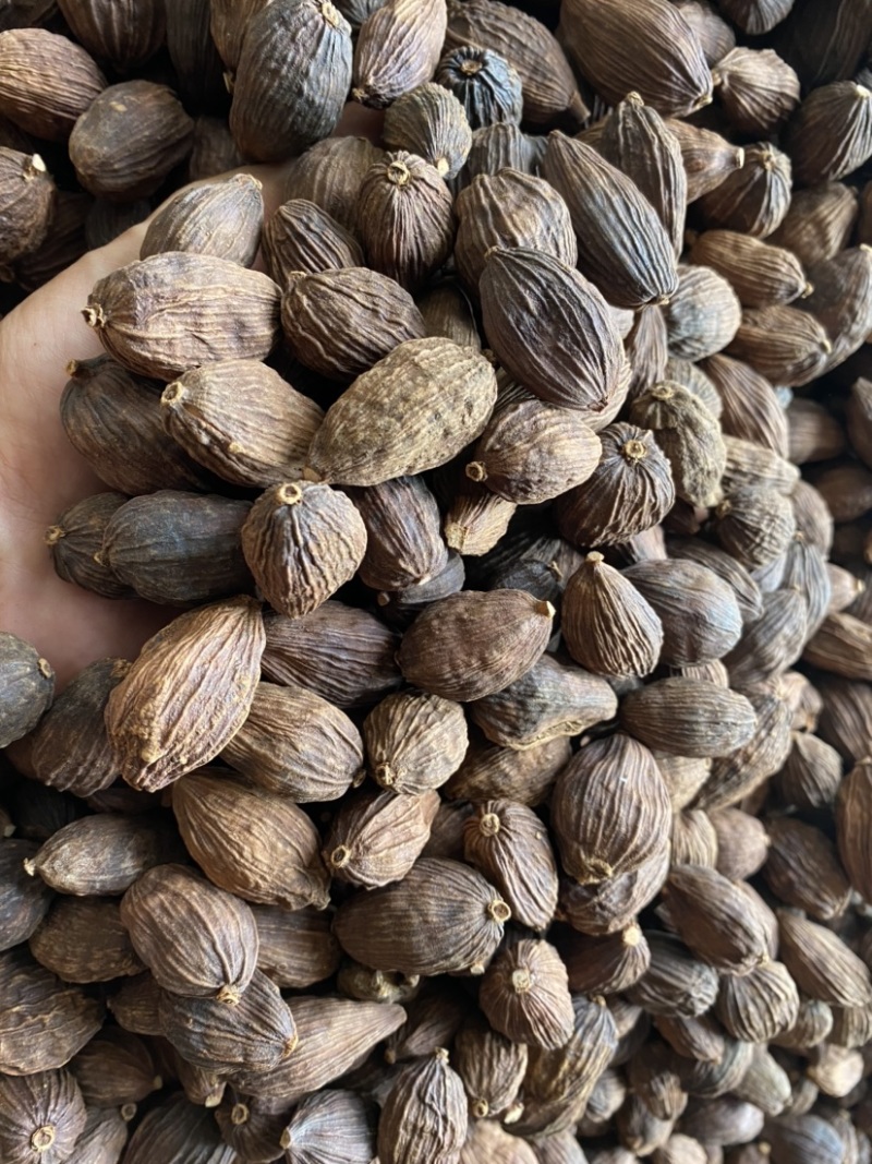 草果云南草果电烤草果个大足干颜色好一手货源批发