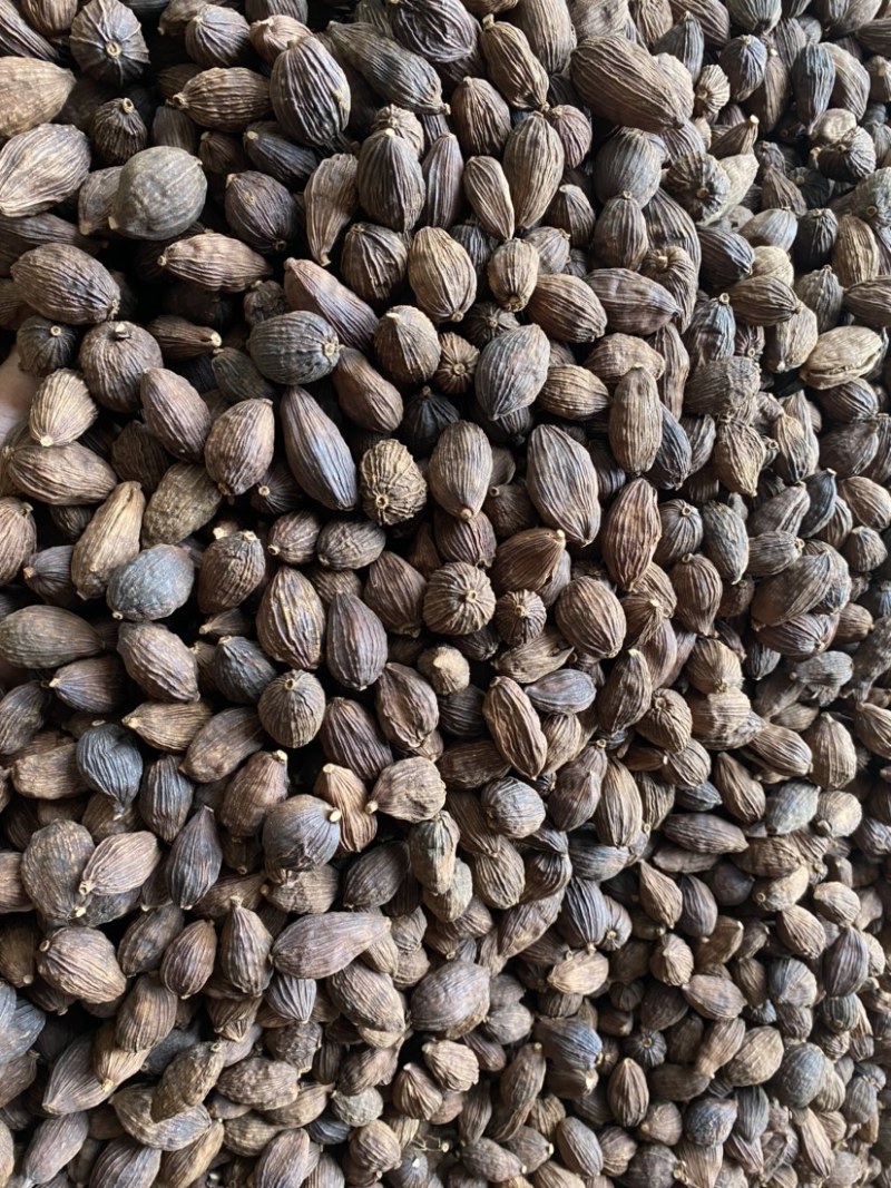 草果云南草果电烤草果个大足干颜色好一手货源批发
