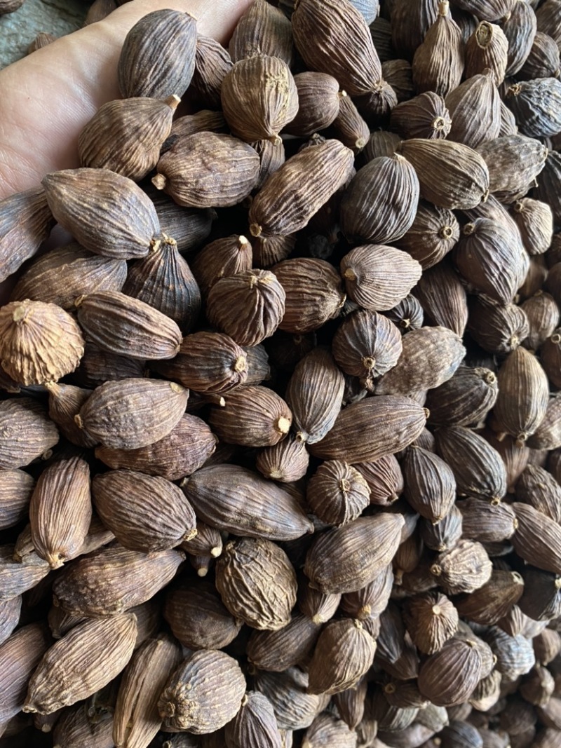 草果云南草果电烤草果个大足干颜色好一手货源批发
