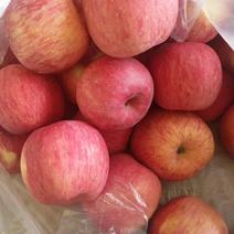 【蒙阴】红富士苹果量大无忧脆甜苹果产地一手货源