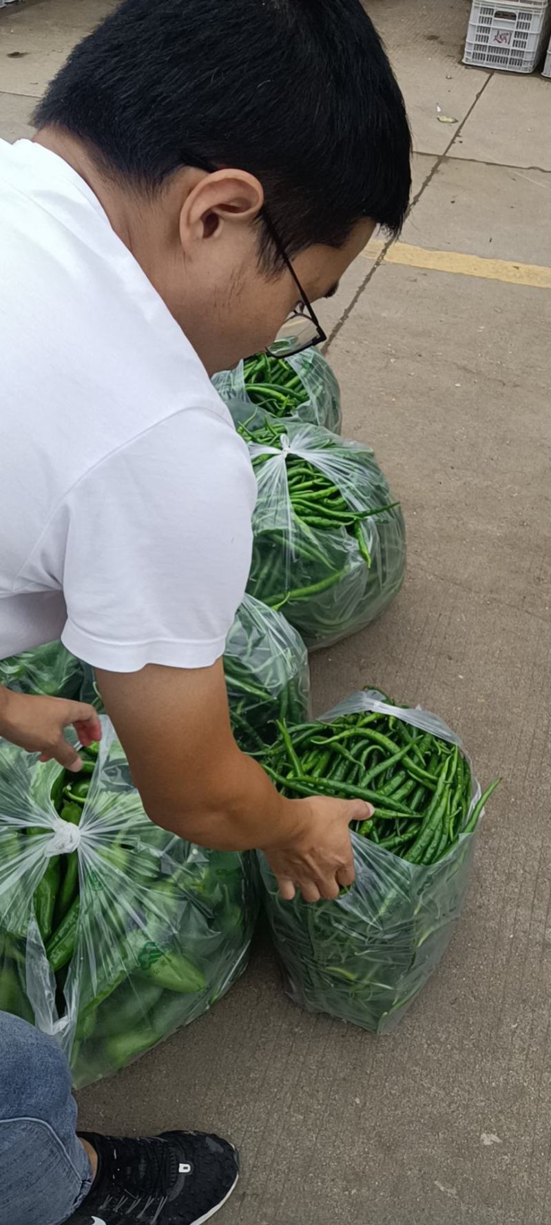 线椒