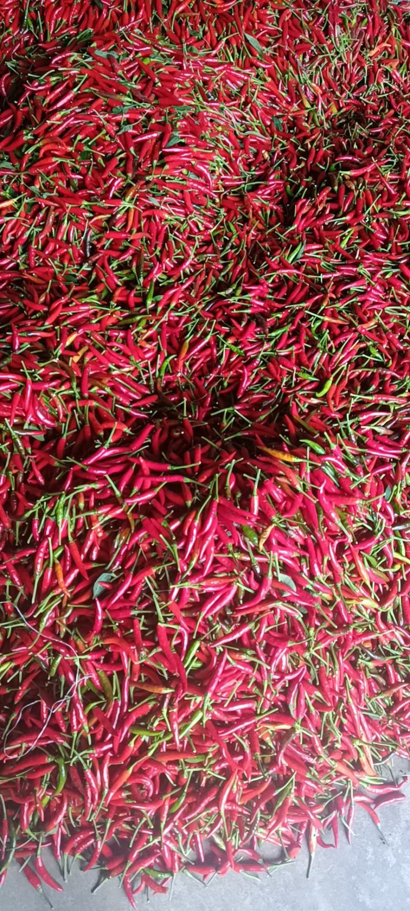米椒，青菜