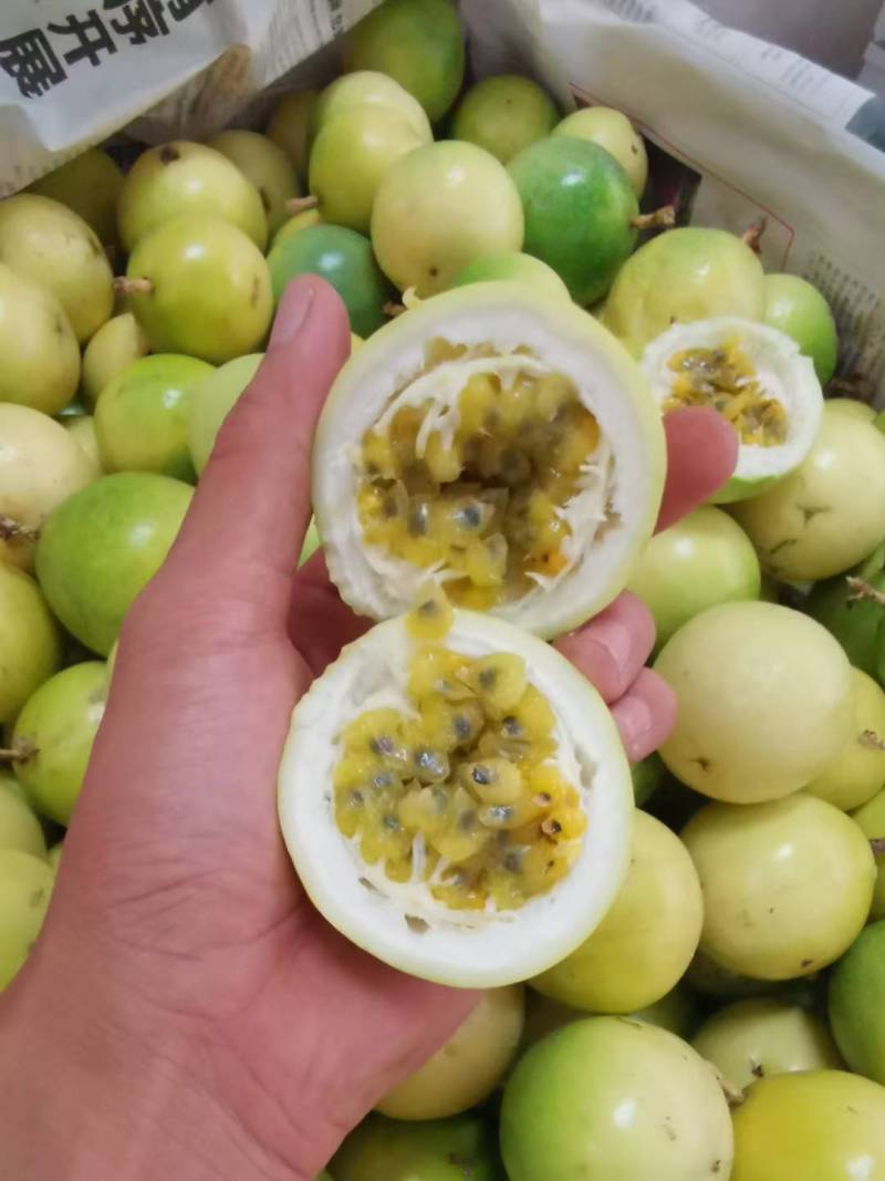 芭乐味黄金百香果