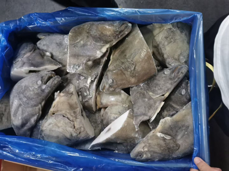 碟鱼头鸦片鱼尾深海捕捞肥美比目鱼新鲜鲽鱼头蝶鱼尾
