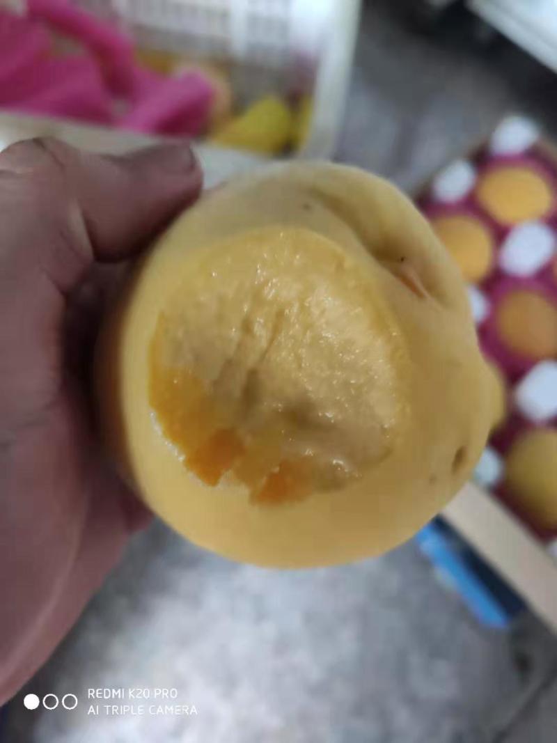 沂源黄金桃