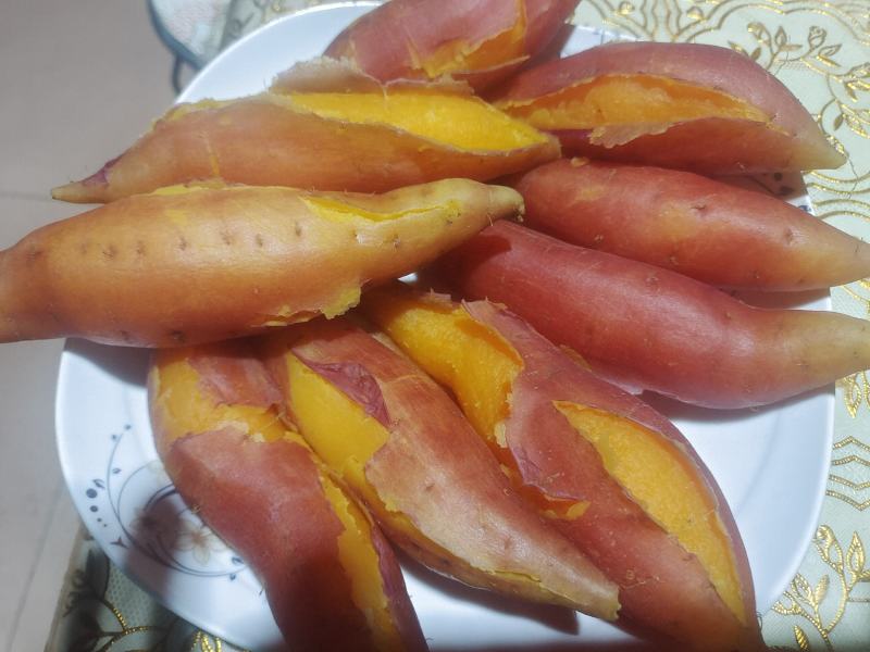 蜜薯烟薯25红薯