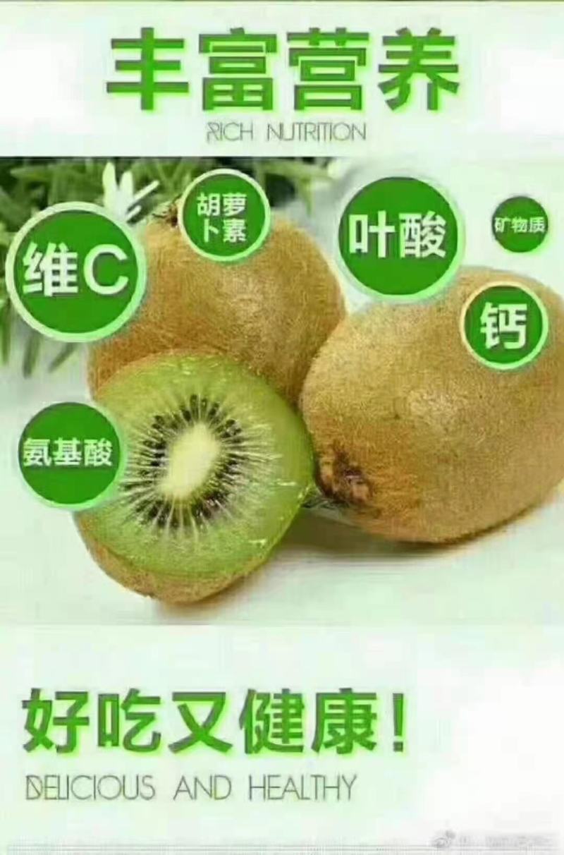 眉县猕猴桃，酸甜刚刚好好！